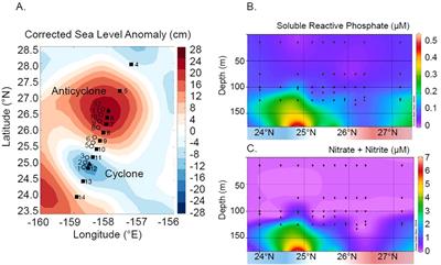 Lipid biochemical diversity and dynamics reveal phytoplankton nutrient-stress responses and carbon export mechanisms in mesoscale eddies in the North Pacific Subtropical Gyre